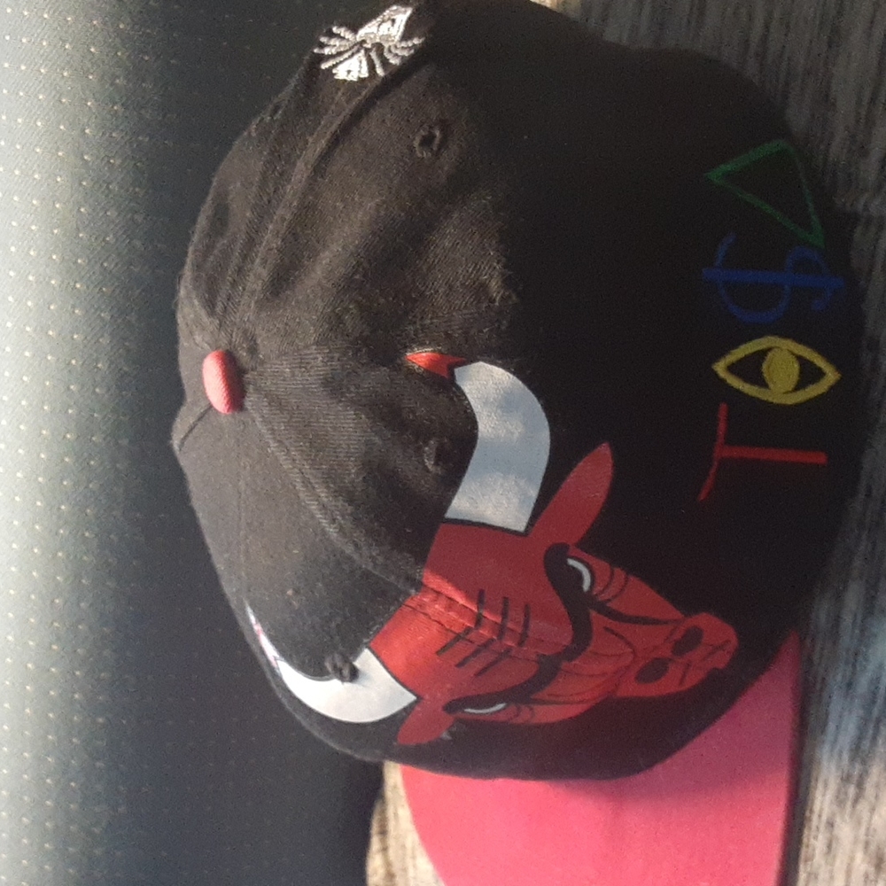 Chicago Bulls "TISA" Sports Specialties VTG Hat - Picture 6 of 6